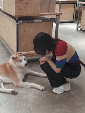 猫两拍さんのコーディネート