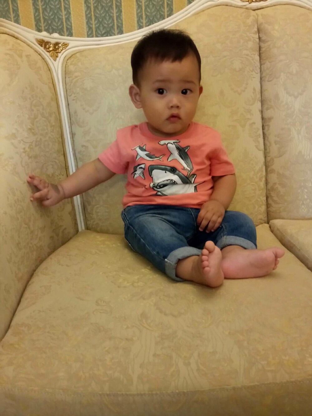「babyGAPのアイテム（Tシャツ/カットソー、ピンク系）」を使った、Kyle0916さん（キッズ・70cm）の夏コーディネートの1枚目の写真