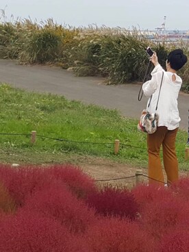 alohaさんのコーディネート