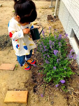 まるがおさん（キッズ・90cm）の春コーディネート