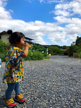 まるがおさんのコーディネート