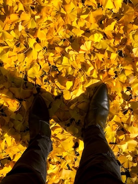 RUさんのコーディネート