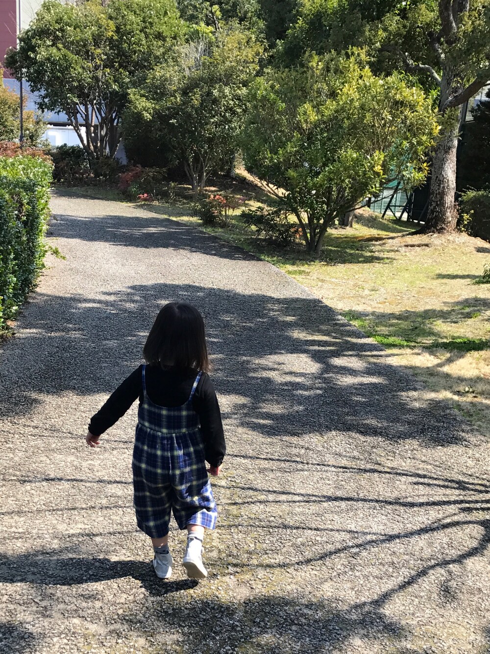 「サロペット、オールインワン、チェック、ハイカットスニーカー、シルバー、キラキラ、春の陽気、公園で遊ぶ、おかっぱ、子供の体力恐るべし」｜「Birthdayのアイテム（サロペット/オーバーオール、ブルー系）」を使った、TwoUmbrellaさん（キッズ・90cm）の春コーディネートの1枚目の写真