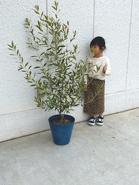 ＊MEI＊さんのコーディネート