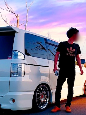 「DC SHOES（ディーシーシューズ）のアイテム（スニーカー、ブラウン系）」を使った、achichi0084さん（メンズ・171cm）の夏コーディネート