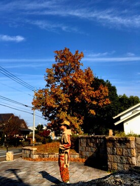 WALL NODAさんのコーディネート