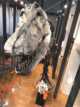 hichin3さんのコーディネート