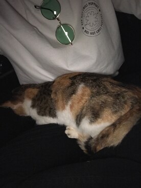 おで子さんのコーディネート