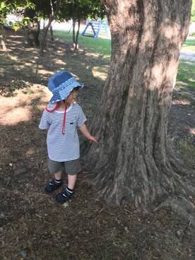 mariさん（キッズ・90cm）の夏コーディネート