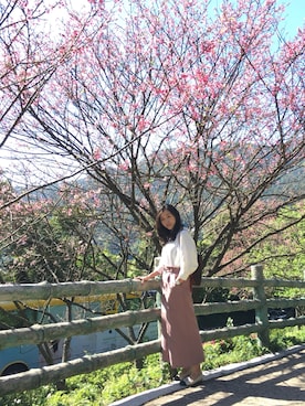 「classico（クラシコ）のアイテム」を使った、chia*さん（レディース・168cm）の春コーディネート