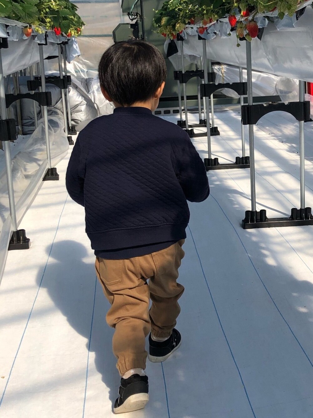 「カジュアル、こどもコーデ、3歳、スニーカー、ユニクロ、無印良品、イフミー」｜「UNIQLOのアイテム（ノーカラージャケット、ブルー系）」を使った、takkun˃̵˂̵さん（キッズ・90cm）の春コーディネートの1枚目の写真