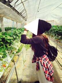 LOWRYS FARM | Tシャツ/カットソー