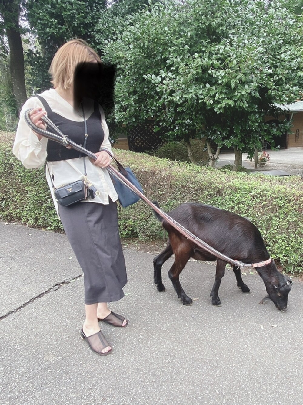 「大人カジュアル、大人コーデ、プチプラ、高身長女子」｜「LOWRYS FARMのアイテム（スカート、ブラック系）」を使った、chiさん（レディース・169cm）の秋コーディネートの1枚目の写真