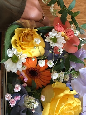 shionmamaさん（レディース・152cm）の春コーディネート