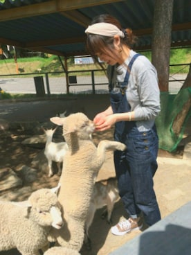  chiruさんのコーディネート