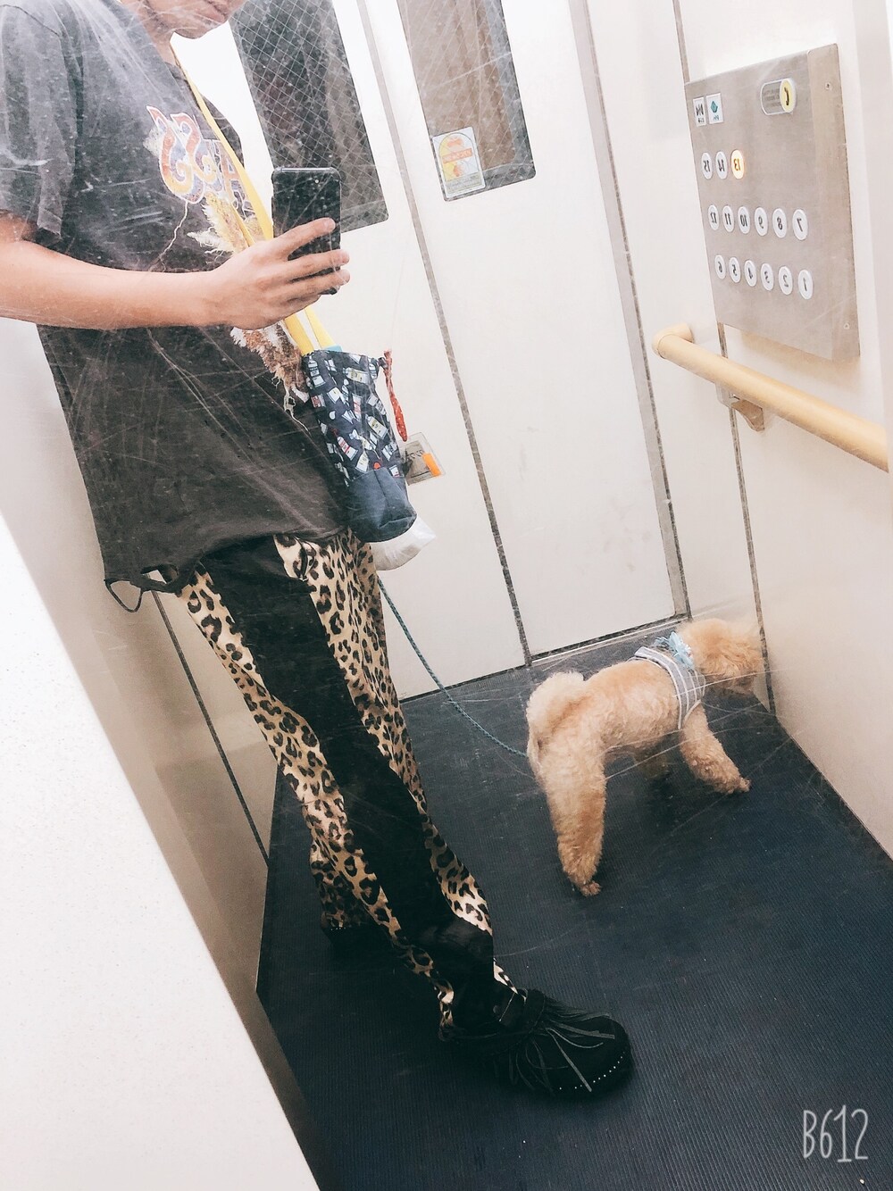 「犬の散歩」｜「SUPERTHANKSのサテンワイドパンツ（その他パンツ、その他）」を使った、ゆーさん（メンズ・174cm）の冬コーディネートの1枚目の写真