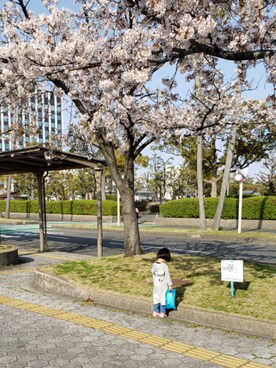 ｻｻｷｹｲｲﾁさんのコーディネート