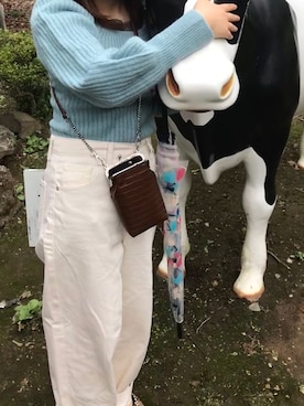 たさんのコーディネート