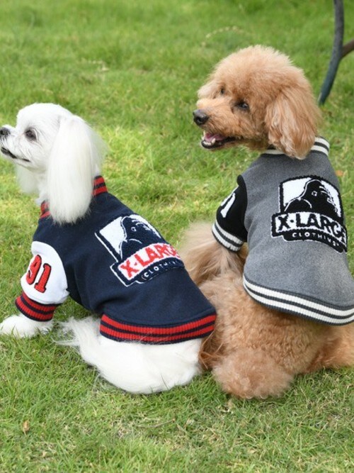 xlarge パーカー　犬　黒　古着　L 中古・古着通販】X-LARGE (エクストララージ) ジップパーカー