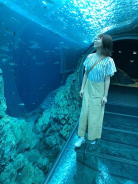「Penguin（ペンギン）のアイテム（その他）」を使った、Ayumiさん（レディース・168cm）の夏コーディネート