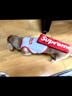 @taigaさんのコーディネート