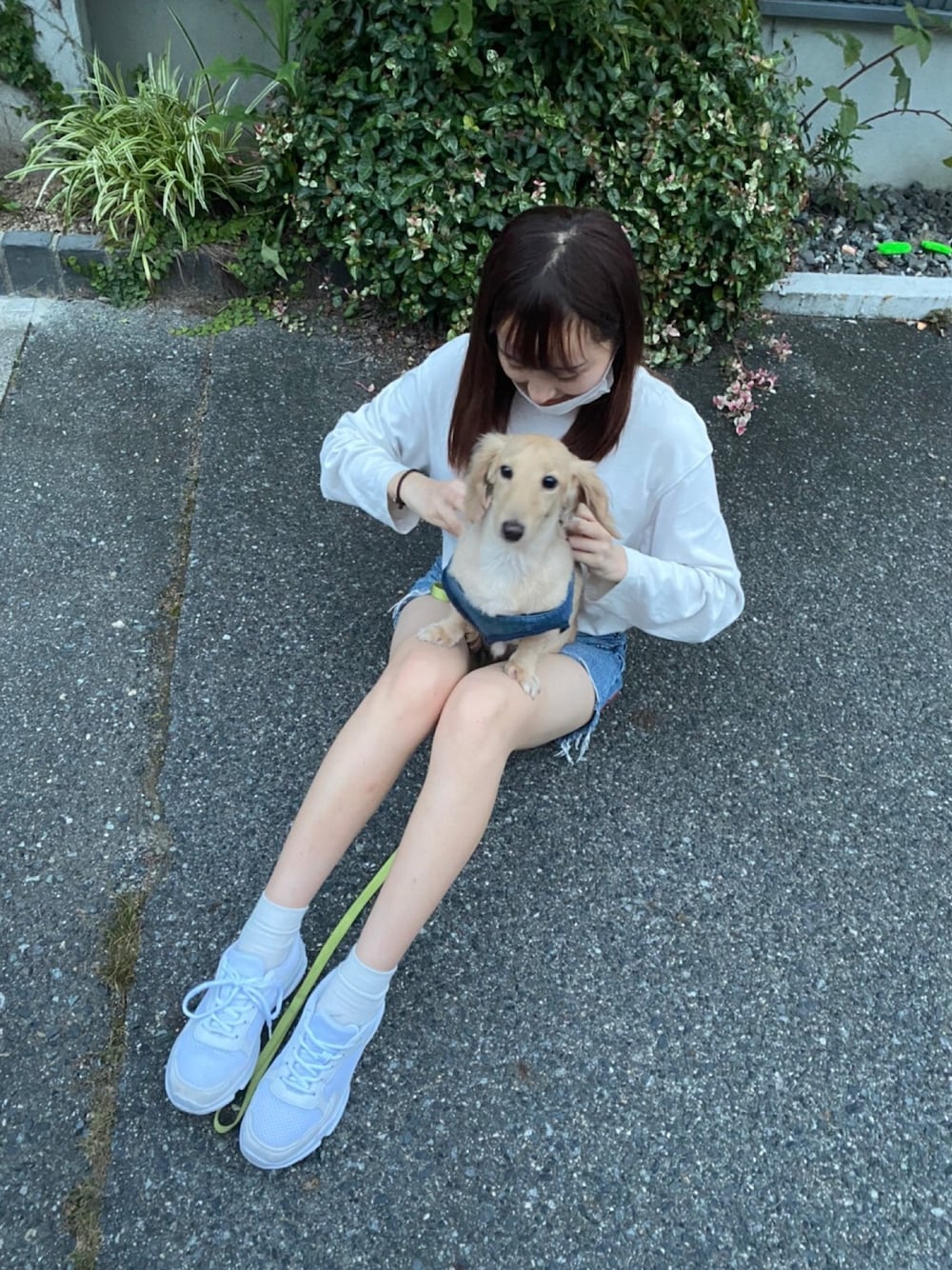 「シンプル、白Tシャツ、なつこーで、さんぽコーデ、moussy、GU、休日スタイル、シンプルコーデ、プチプラコーデ、ootd」｜「GUのアイテム（Tシャツ/カットソー、ホワイト系）」を使った、nana  さん（レディース・157cm）の夏コーディネートの1枚目の写真