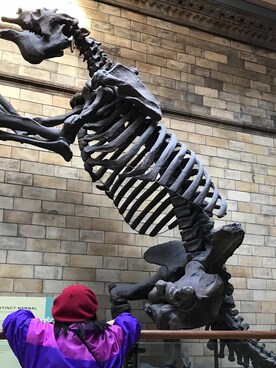 WANGnskshshdjfnさんのコーディネート