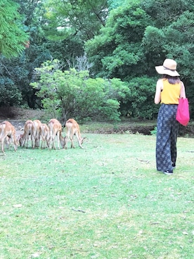 homohomohさん（レディース・161cm）の夏コーディネート