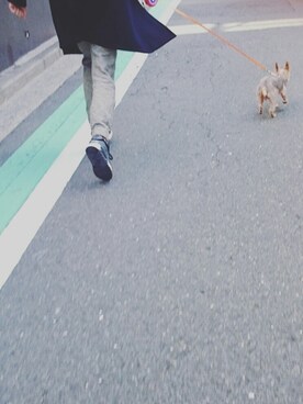 コジさんのコーディネート