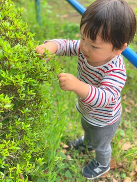 amiさんのコーディネート