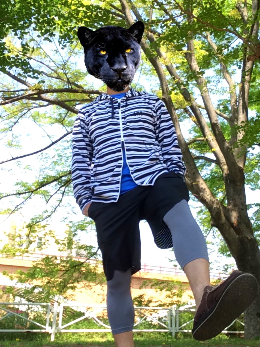 「春、ラフ、ボーダー、スポーツミックス、ナイキ、NIKE、ハーフパンツ、スリッポン、シンプル、カジュアル」｜「HELLY HANSENのアイテム（パーカー、ブルー系）」を使った、ブラックパンサーさん（メンズ・168cm）の春コーディネートの1枚目の写真