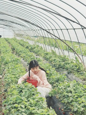 麦田さんのコーディネート