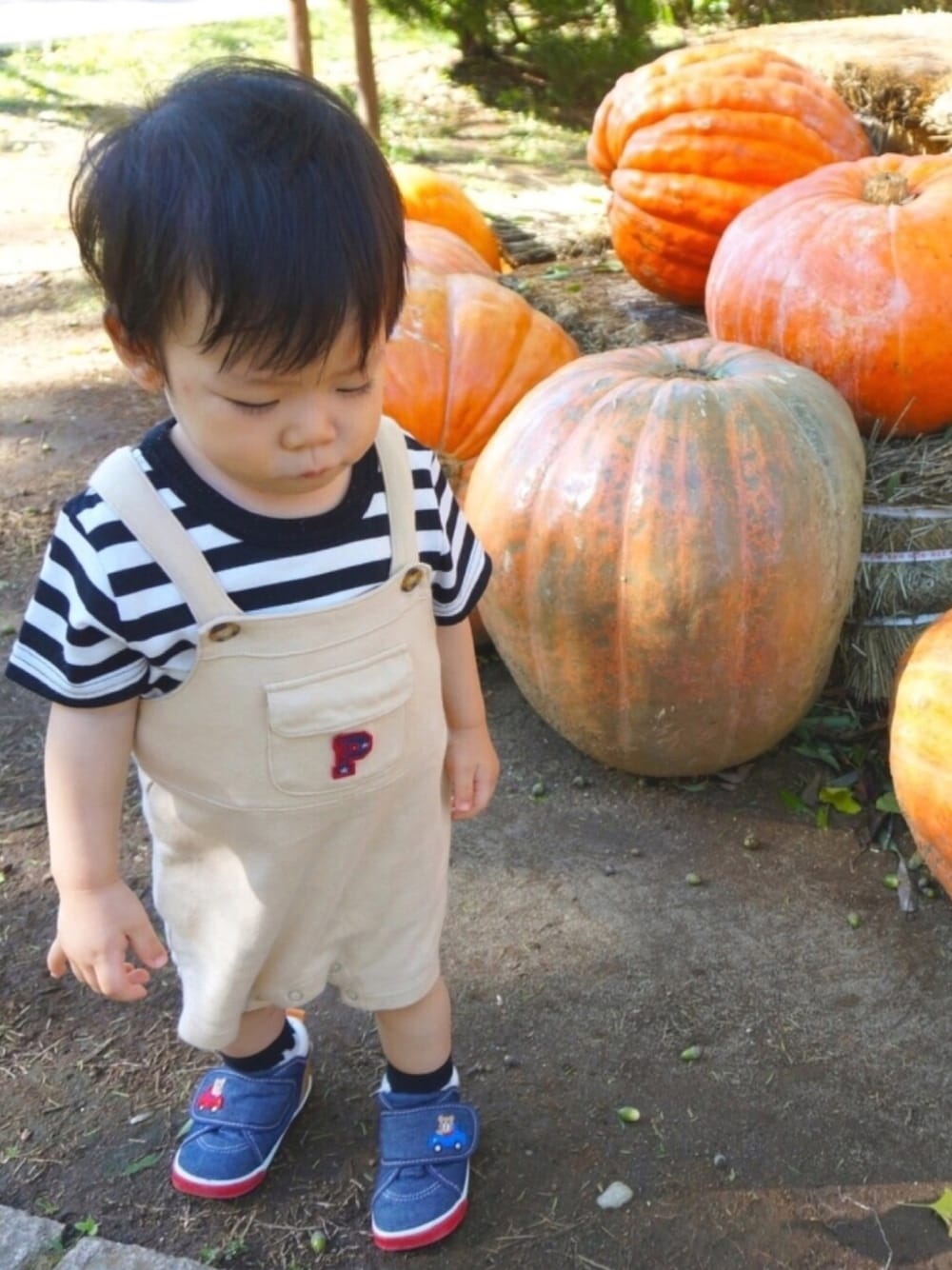 「ボーダートップス、1歳、オーバーオール、ラクチンコーデ、おしゃれさんと繋がりたい、90cm、80cm、ミキハウス、ボーダー、サロペット」｜「Birthdayのアイテム（Tシャツ/カットソー、ホワイト系）」を使った、ｔａｉｓｅｉ𓆉さん（キッズ・90cm）の秋コーディネートの1枚目の写真