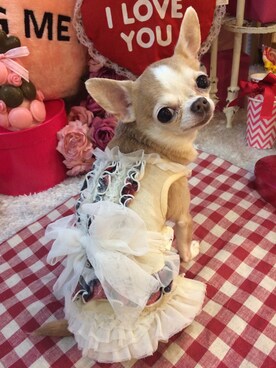 chumさんのコーディネート