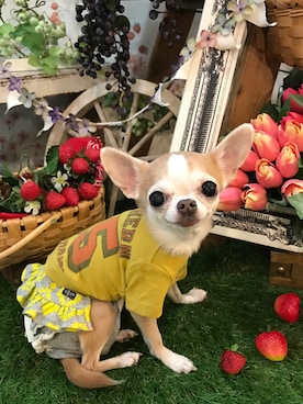 chumさんのコーディネート