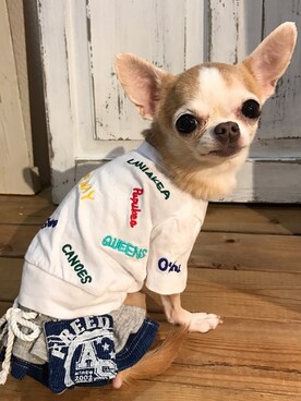 chumさんのコーディネート