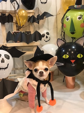 chumさんのコーディネート