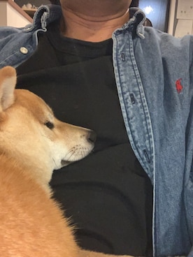 「柴犬」｜TKSTさん（メンズ・182cm）の春コーディネート
