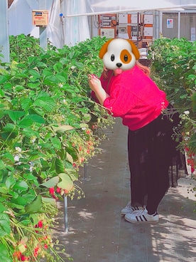 エリオリックさんのコーディネート