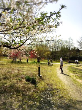 showさんのコーディネート