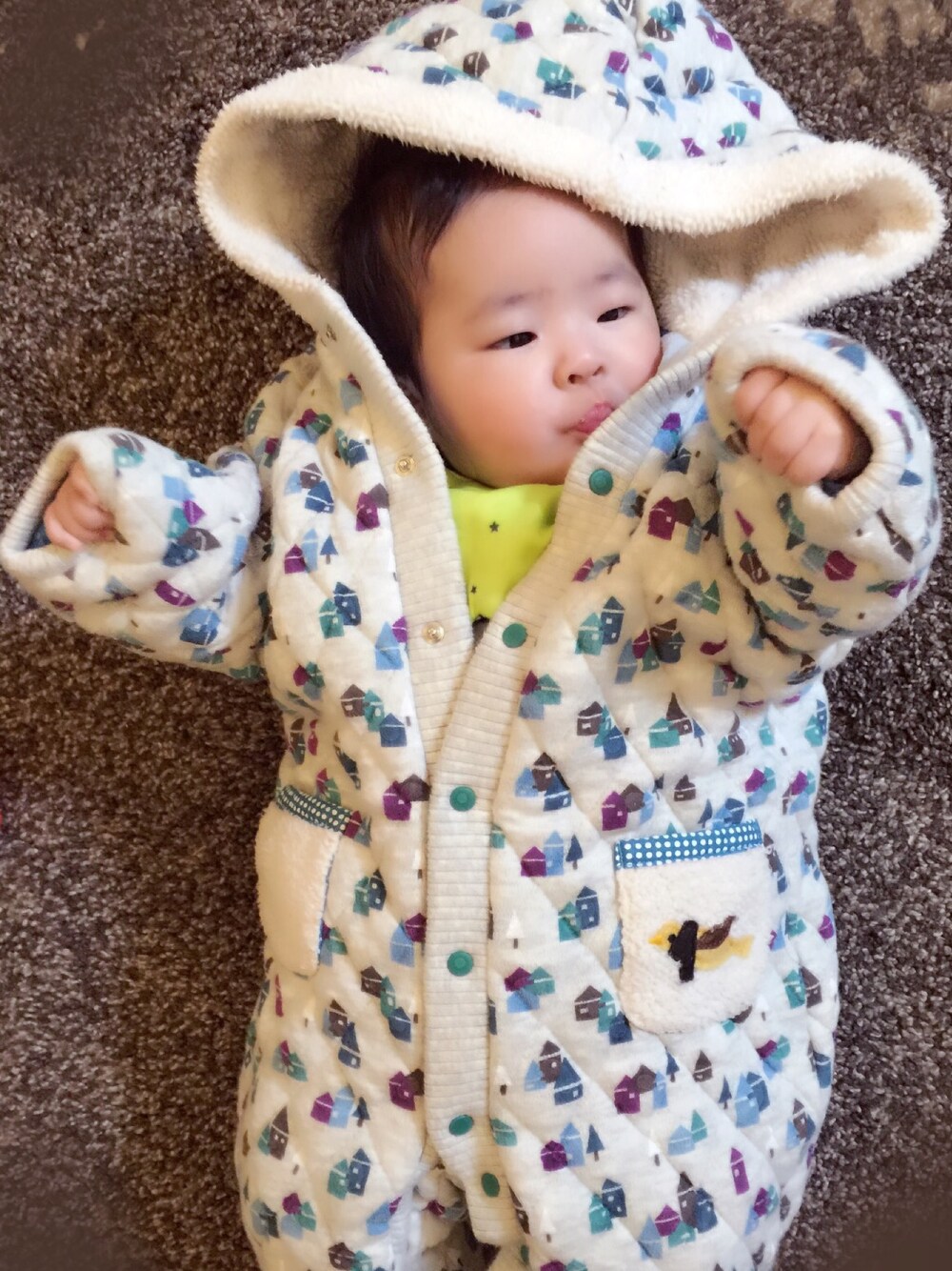 「家柄、プチジャム、三ヶ月検診、おでかけコーデ、ベビーアウター」｜「Petit jamのアイテム（ママ＆ベビー、その他）」を使った、askoooooloveさん（キッズ・60cm）の冬コーディネートの1枚目の写真