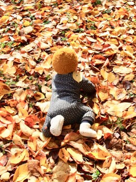 akachanさんのコーディネート