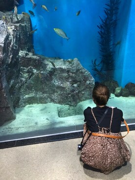 mktさんのコーディネート