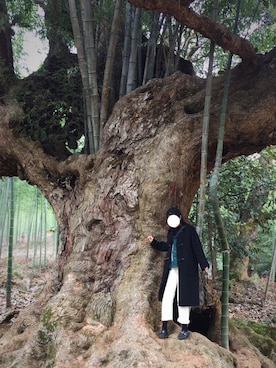 就地瓜吧さんのコーディネート