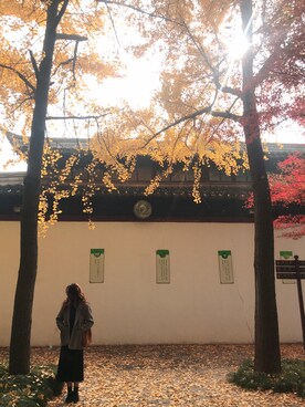 爱拼拼咕叽咕叽さんのコーディネート