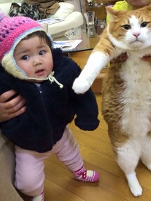 no brand | きのこ靴下(ソックス/靴下)