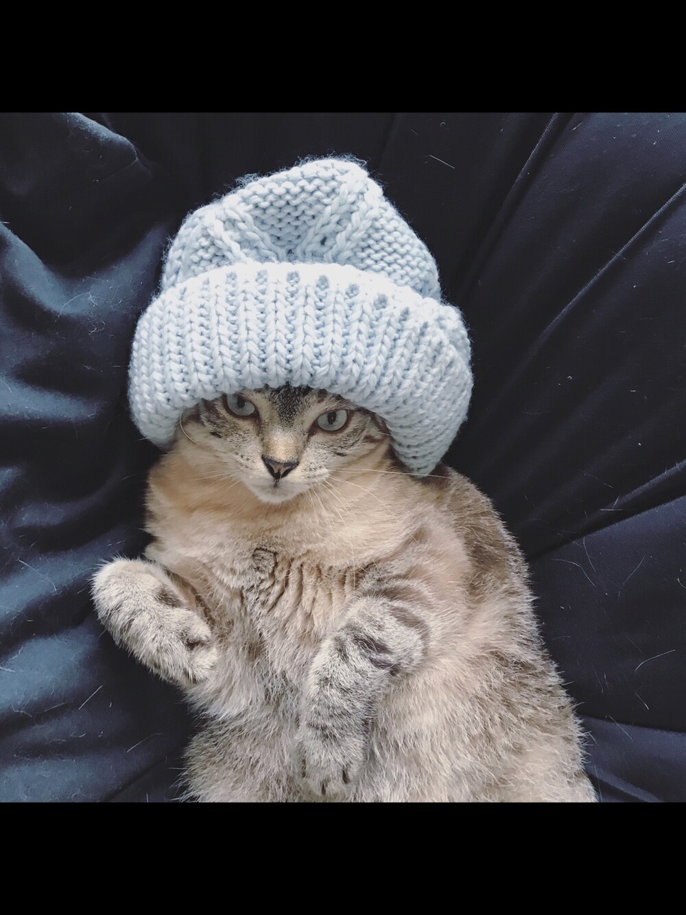 「FOREVER 21のアイテム（ニットキャップ/ビーニー、ブルー系）」を使った、aisonxさん（メンズ・50cm）の春コーディネートの1枚目の写真