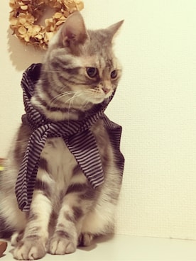 matsumotooooooさんのコーディネート