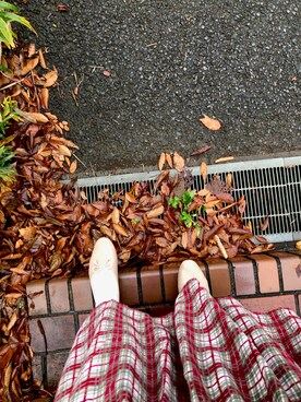 m a y a さんのコーディネート