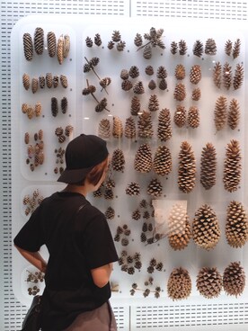 Jelly can’t flyさんのコーディネート